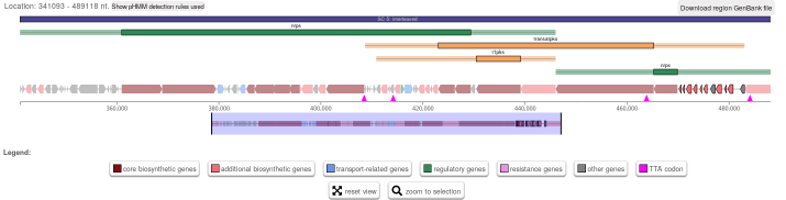 broken kirAII gene